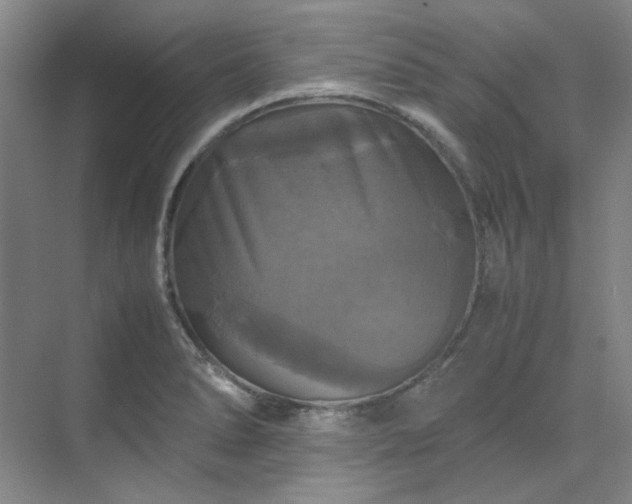 X0000070351278200606161307