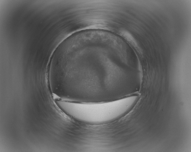 X0000070351284200606161307