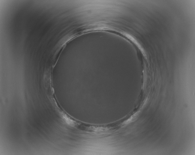 X0000070351289200606161307