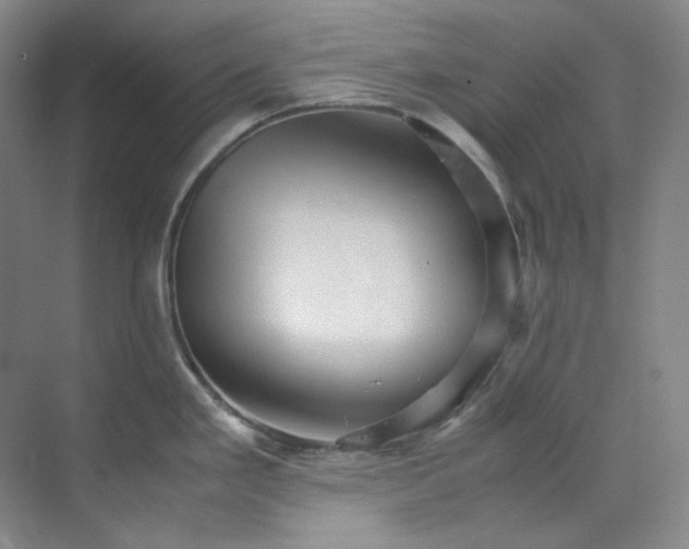 X0000070351293200606161307