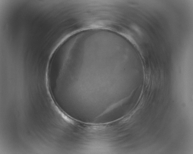X0000070351294200606161307
