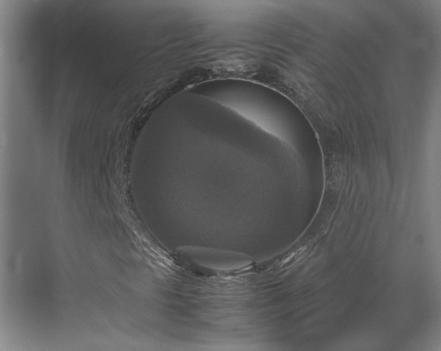 X0000070351297200606161306