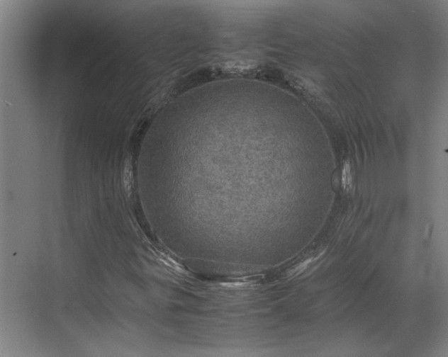 X0000070351299200606161306