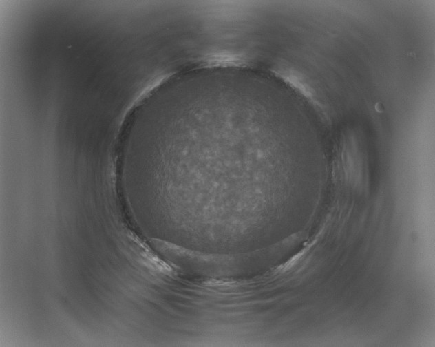 X0000070351309200606161306