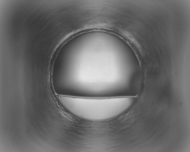 X0000070351316200606161306