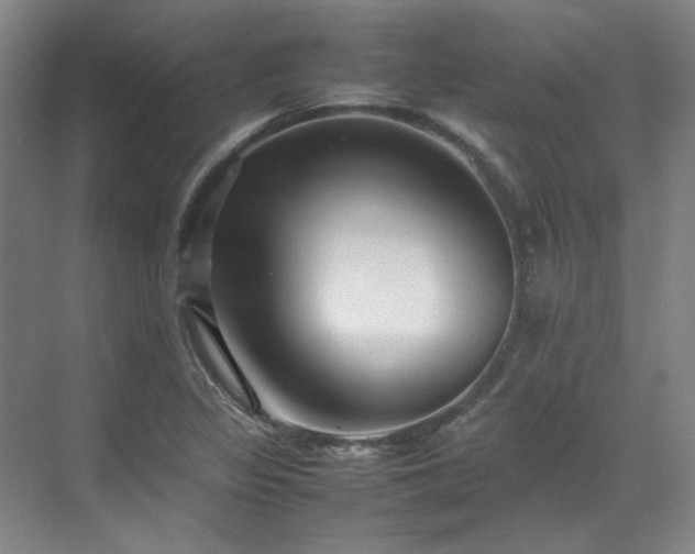 X0000070351317200606161306