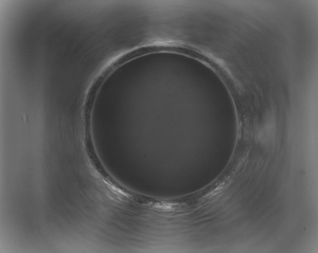X0000070351319200606161306