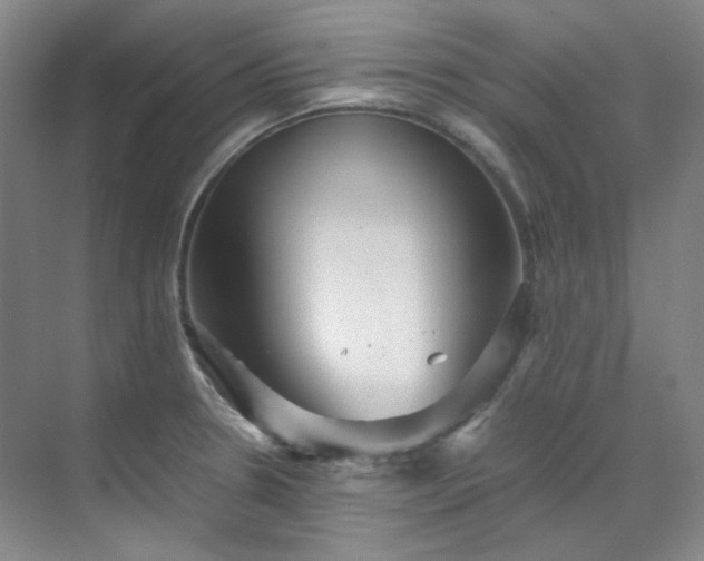X0000070351330200606161306
