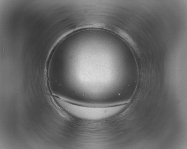 X0000070351332200606161306