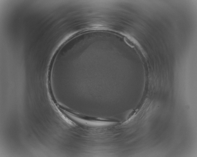 X0000070351333200606161306