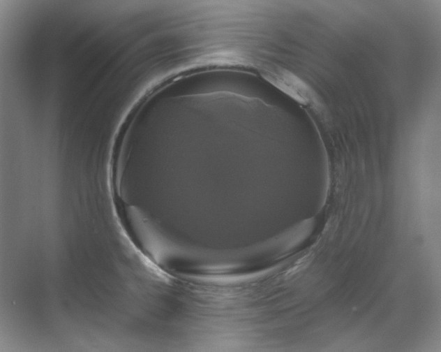X0000070351334200606161306