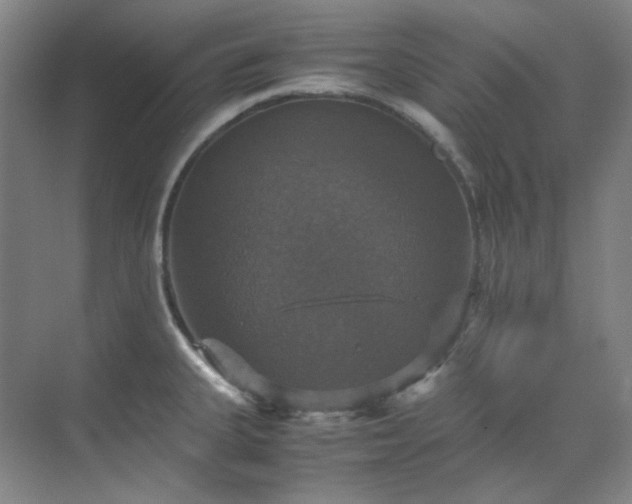 X0000070351335200606161306