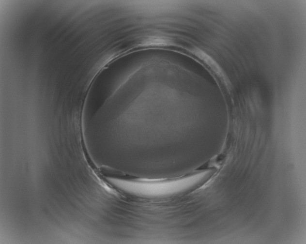 X0000070351337200606161306