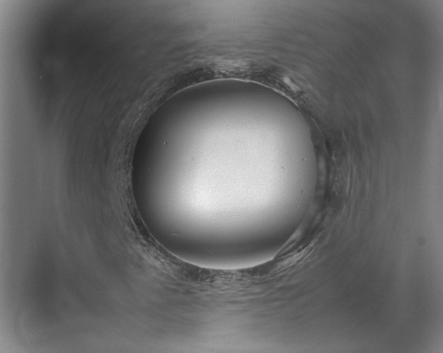 X0000070351345200606161306