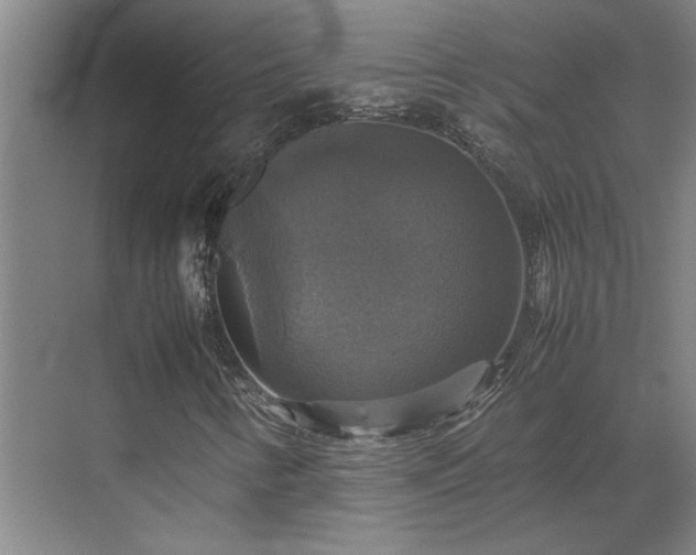 X0000070351346200606161306
