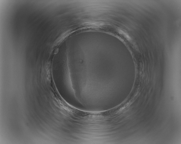 X0000070351354200606161306