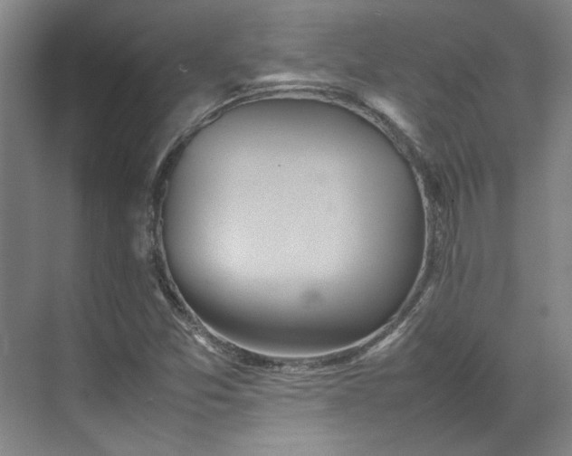 X0000070351357200606161306