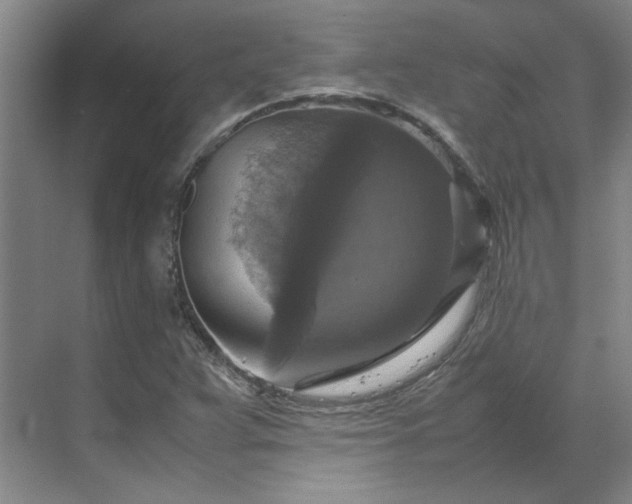 X0000070351359200606161305