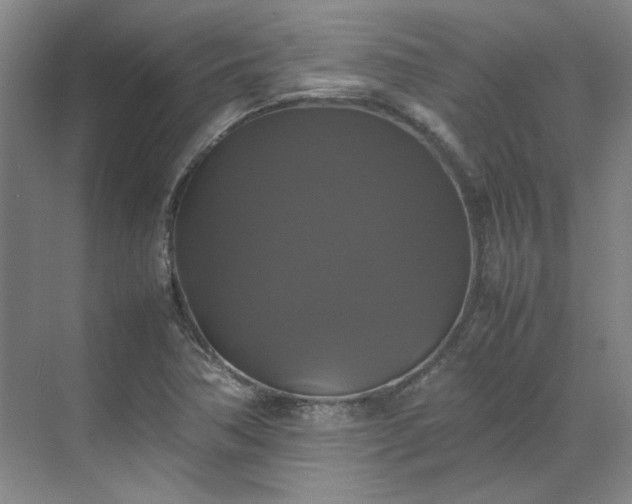 X0000070351362200606161305