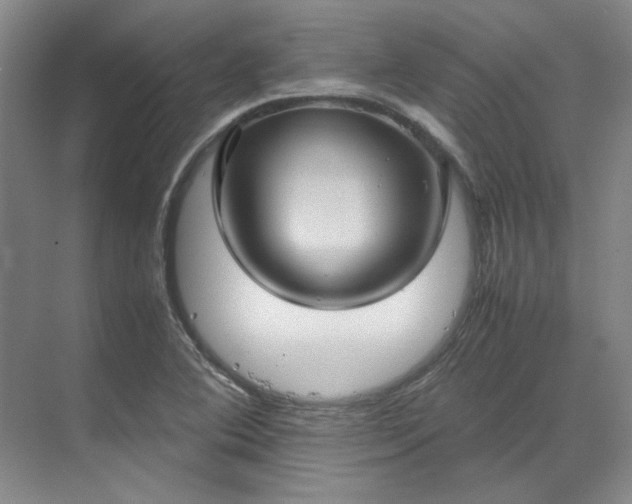 X0000070351364200606161305