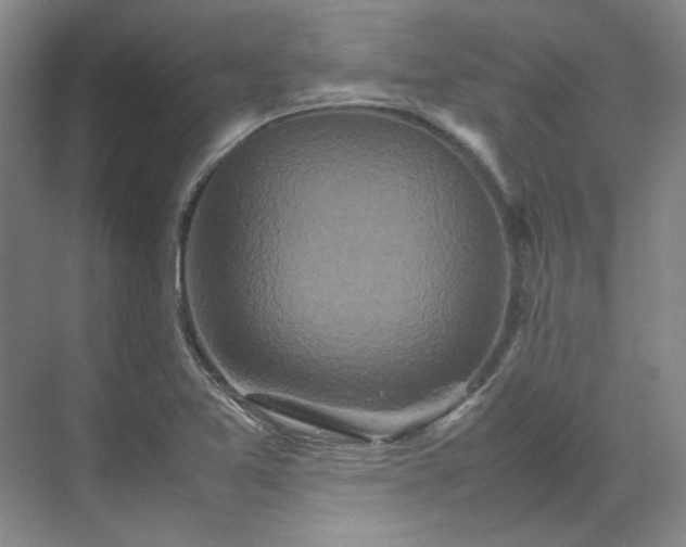 X0000070351365200606161305
