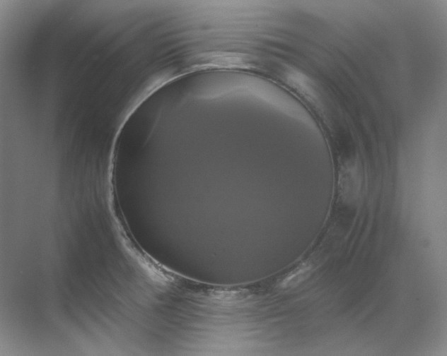X0000070351378200606161305