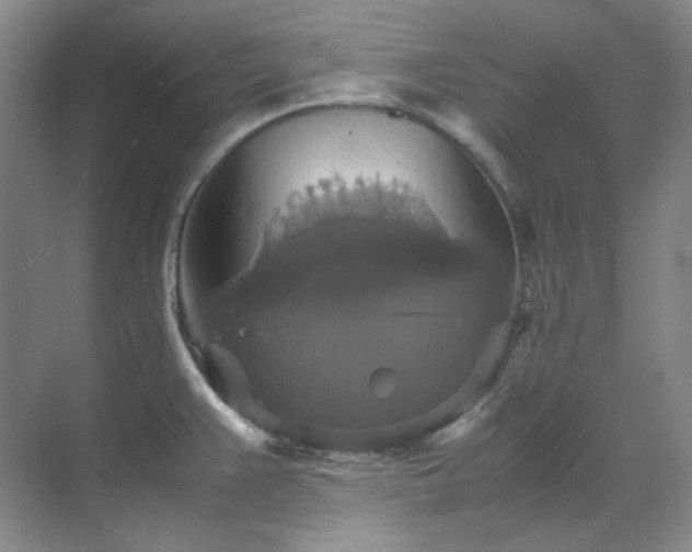 X0000070351383200606161305
