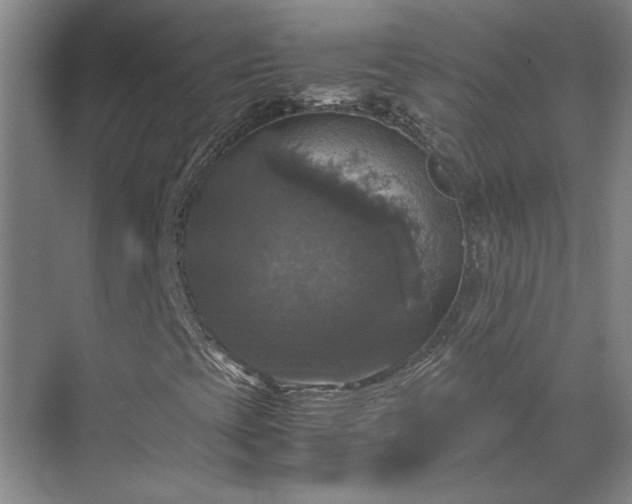 X0000070351393200606161304