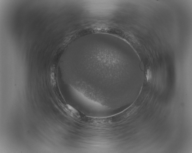 X0000070351396200606161304