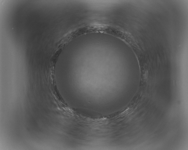 X0000070351397200606161304