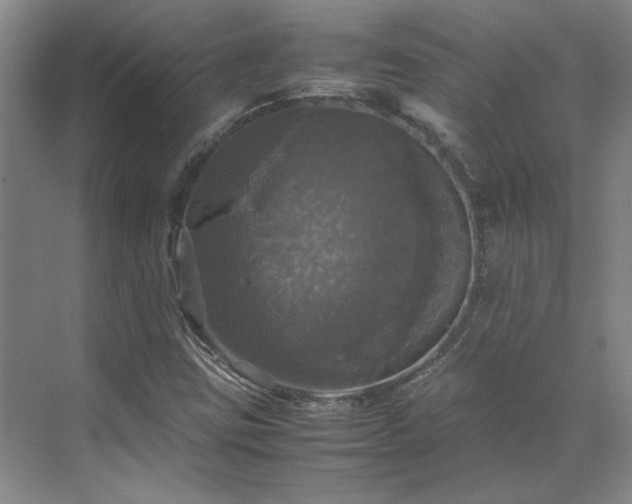 X0000070351403200606161304