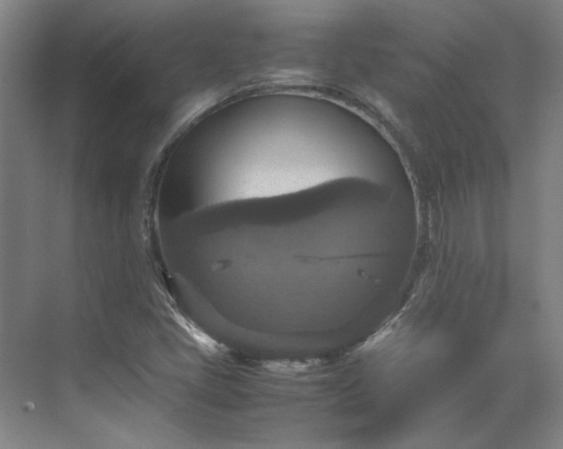 X0000070351405200606161304
