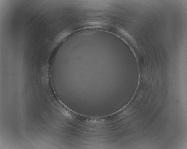 X0000070351411200606161304
