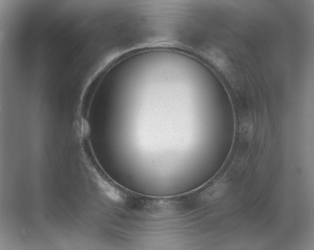X0000070351414200606161304