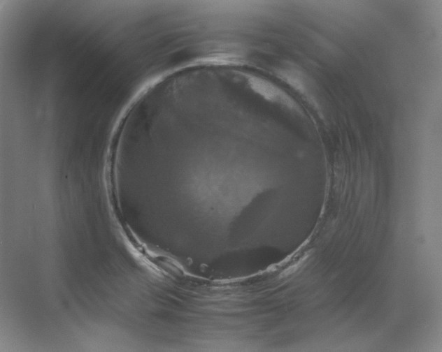 X0000070351421200606161305