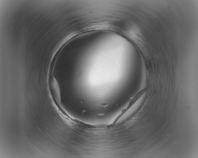 X0000070351426200606161305