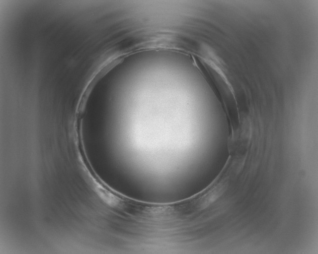 X0000070351434200606161305