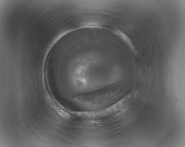 X0000070351435200606161305
