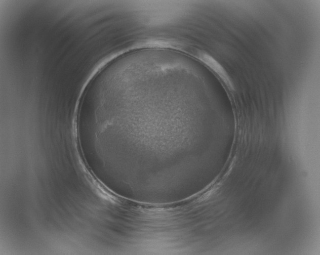 X0000070351436200606161305