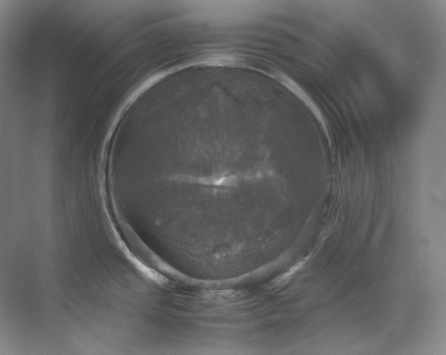 X0000070351437200606161305