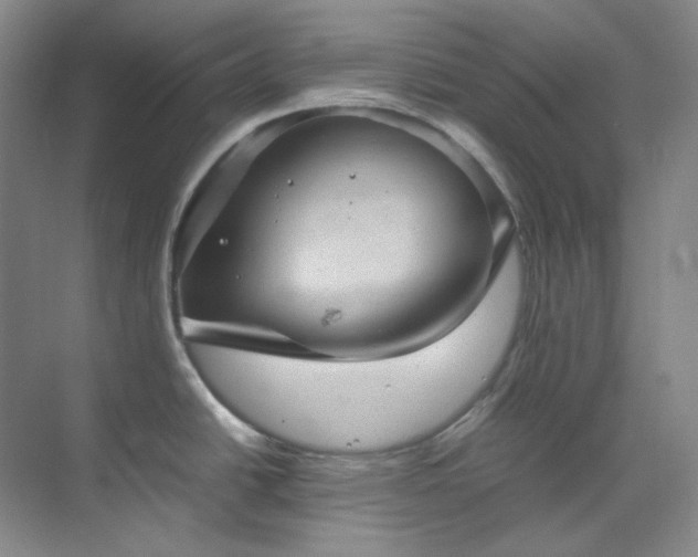 X0000070351438200606161305