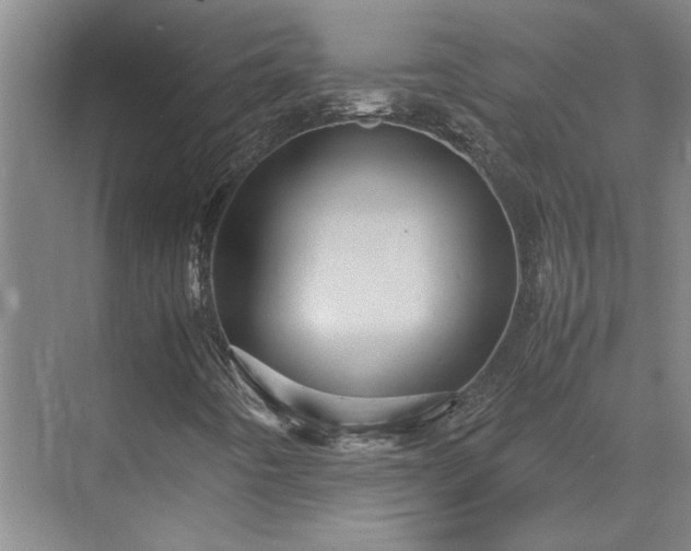 X0000070351442200606161304