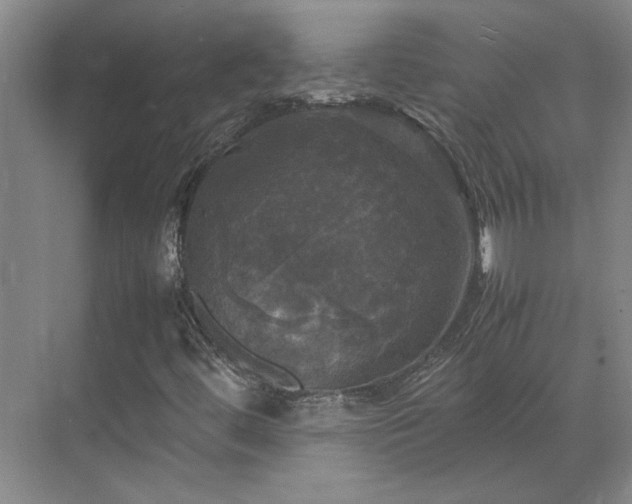 X0000070351444200606161304