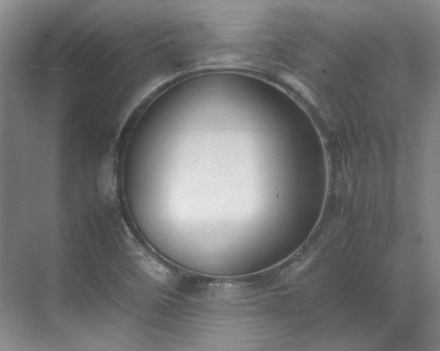 X0000070351458200606161304