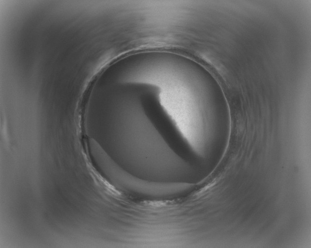 X0000070351459200606161304