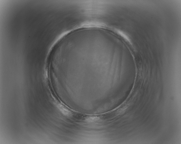 X0000070351462200606161304