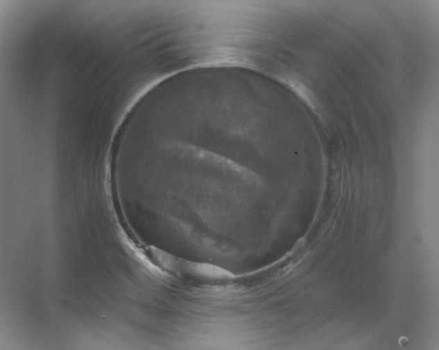 X0000070351468200606161304