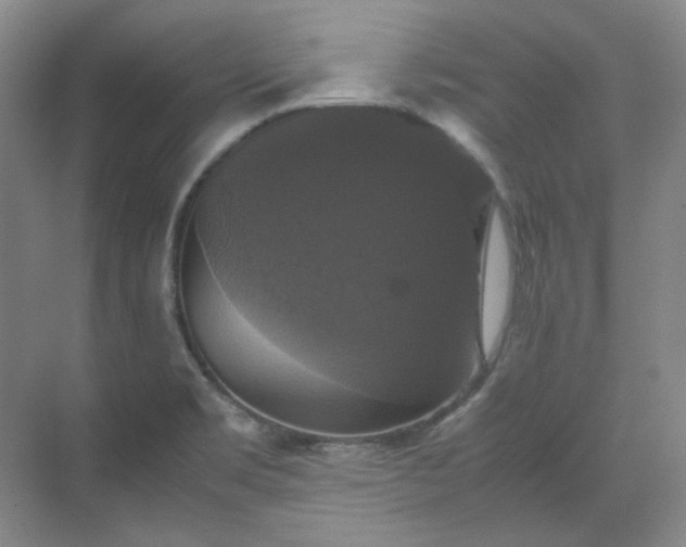X0000070351469200606161304