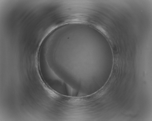 X0000070351474200606161304