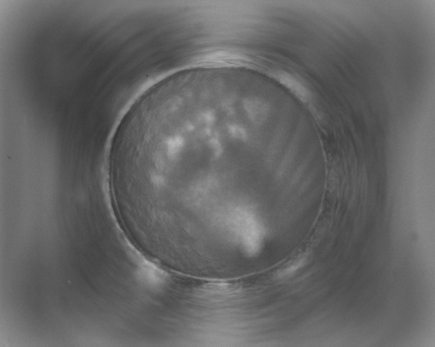 X0000070351478200606161303